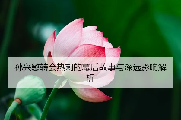 孙兴慜转会热刺的幕后故事与深远影响解析